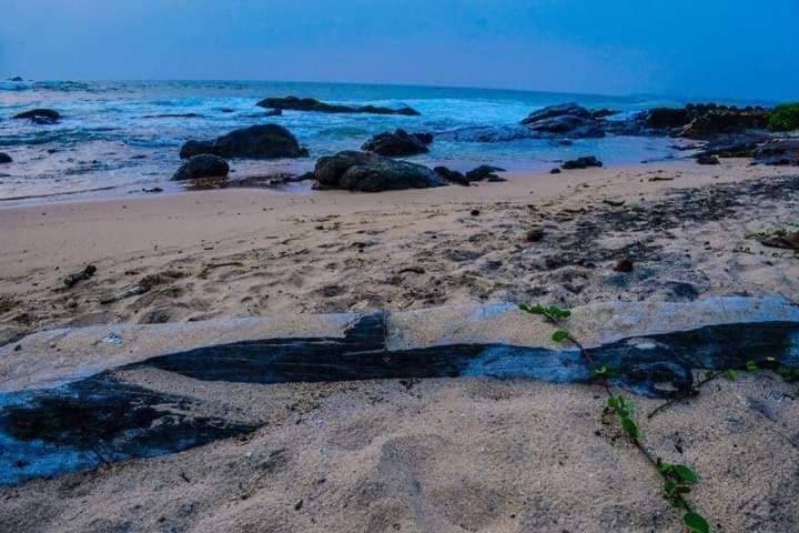 Sunset Cabana Galle Zewnętrze zdjęcie